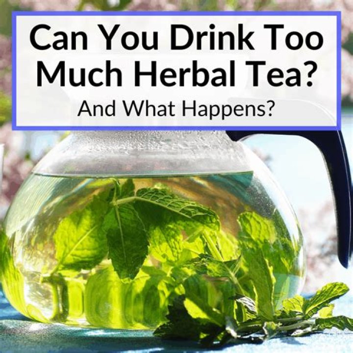 Can you drink too much mint tea