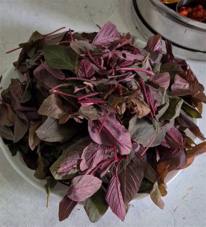 Can you eat amaranth leaves