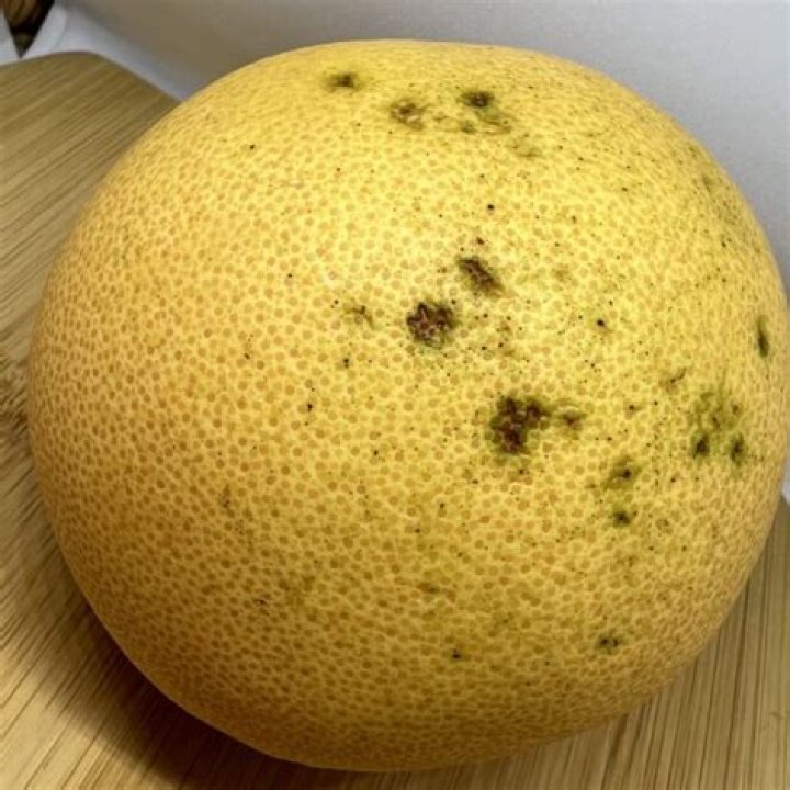 Can you eat grapefruit with brown spots
