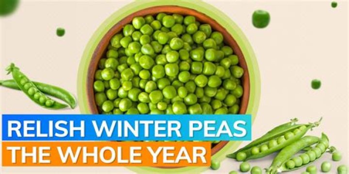 Can you eat winter peas