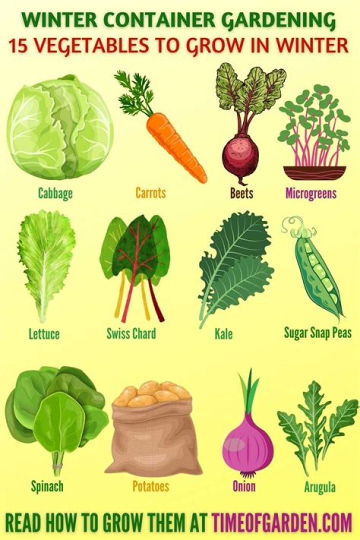 Can you grow basil in the winter