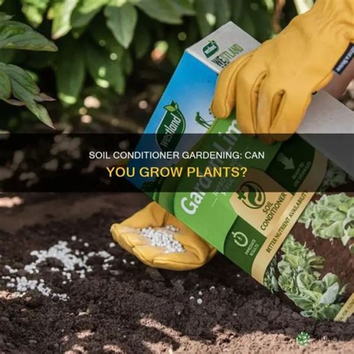 Can you grow Hydro in soil