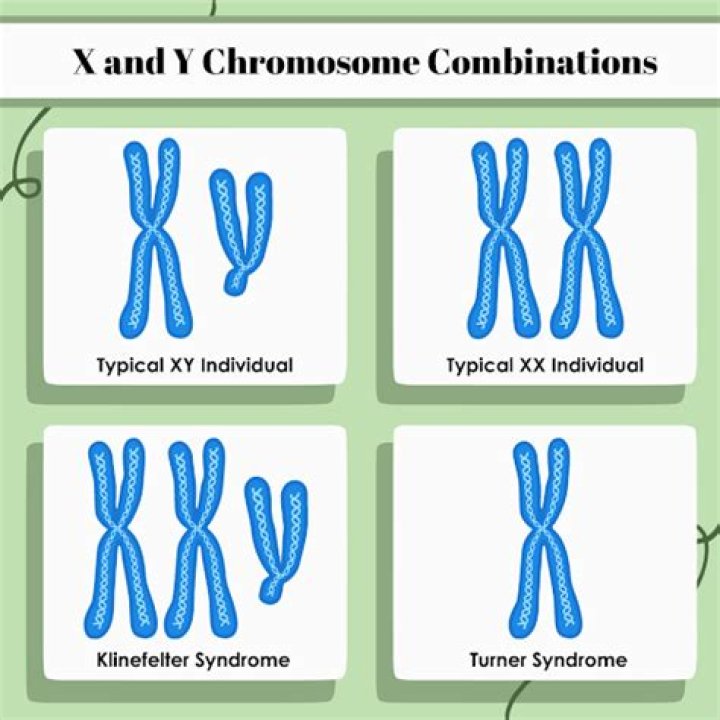 Can you have YY chromosome