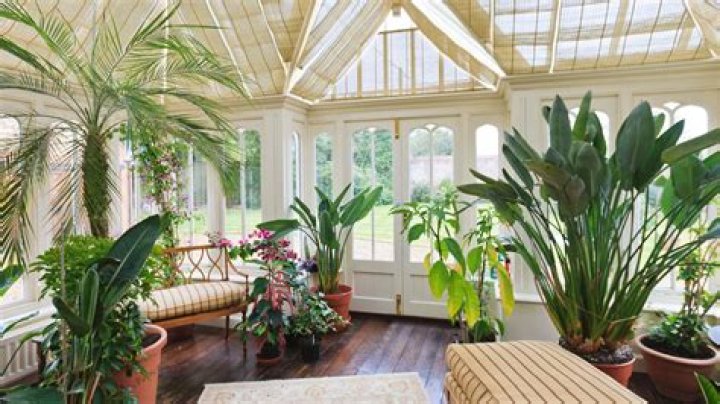 Can you keep a dog in a conservatory
