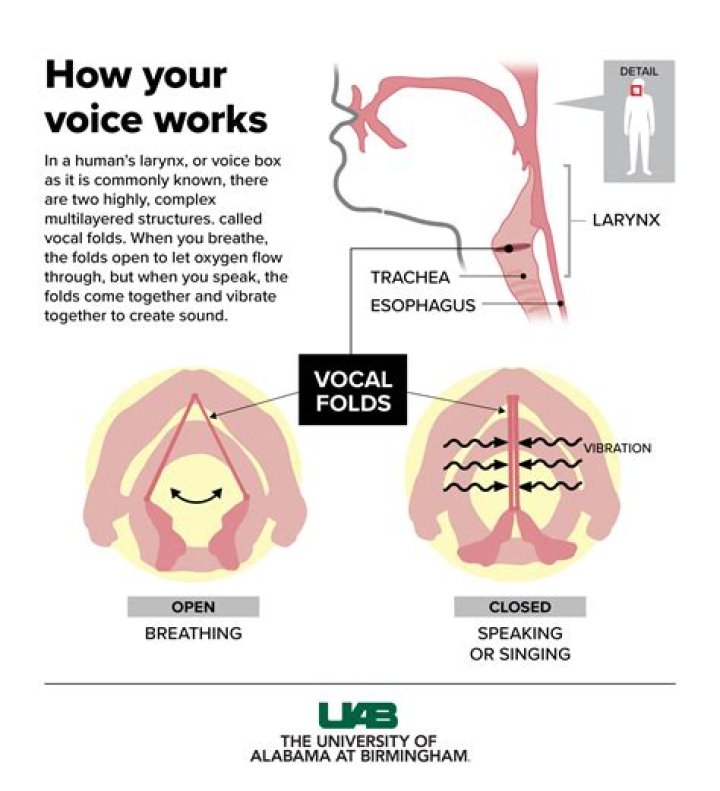 Can you lose your voice through stress