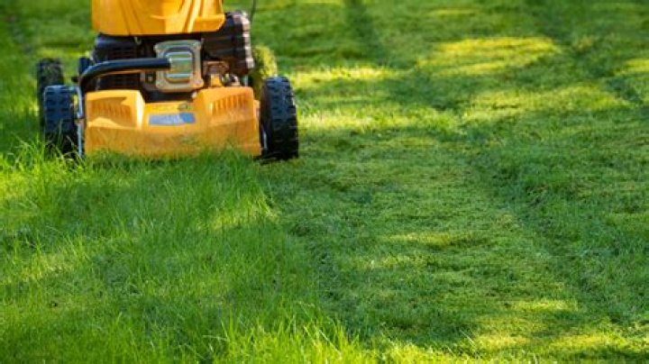 Can you mow wet grass with a petrol mower