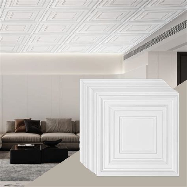 Can you paint plastic ceiling tiles