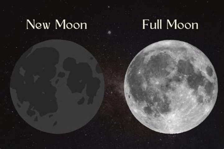 Can you plant on a new moon