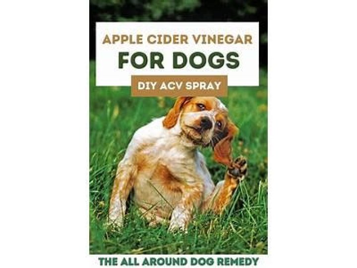Can you spray apple cider vinegar on dogs