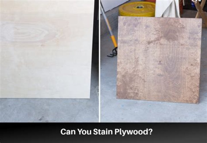 Can you stain any kind of wood