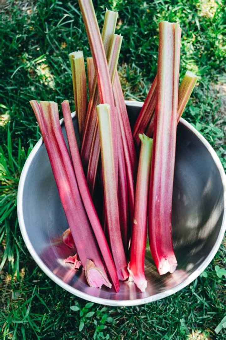 Can you substitute frozen rhubarb for fresh