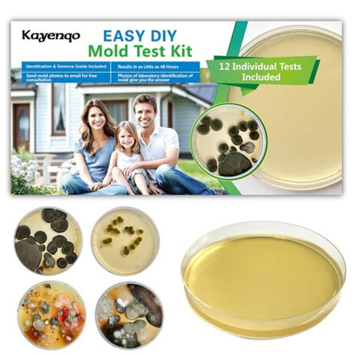 Can you test a baby for mold exposure