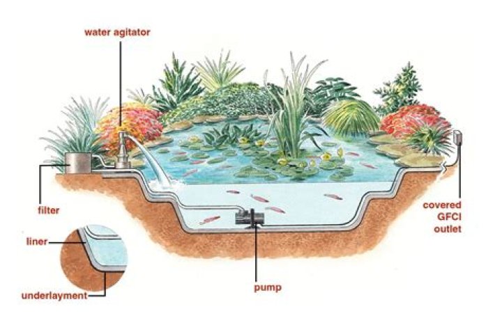 Can you top up a garden pond with tap water