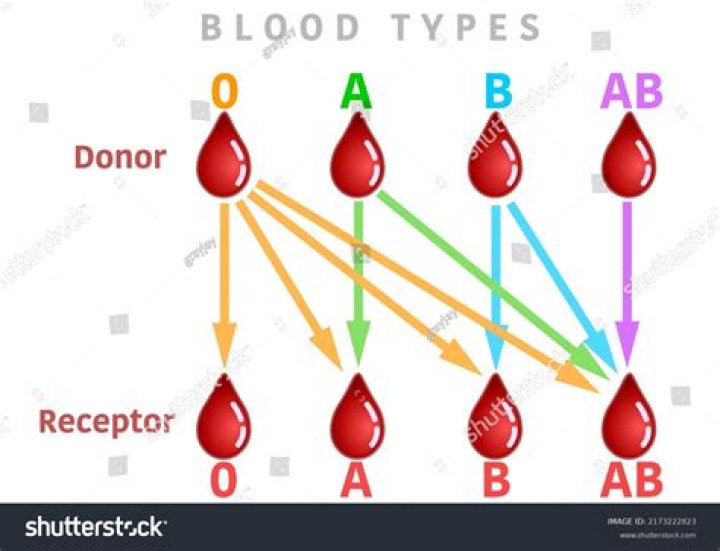 Can you transfer blood from one tube to another