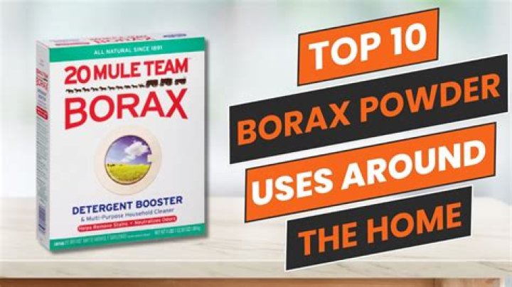 Can you use borax on a dog