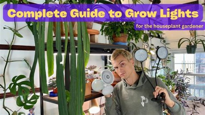 Can you use grow lights outside