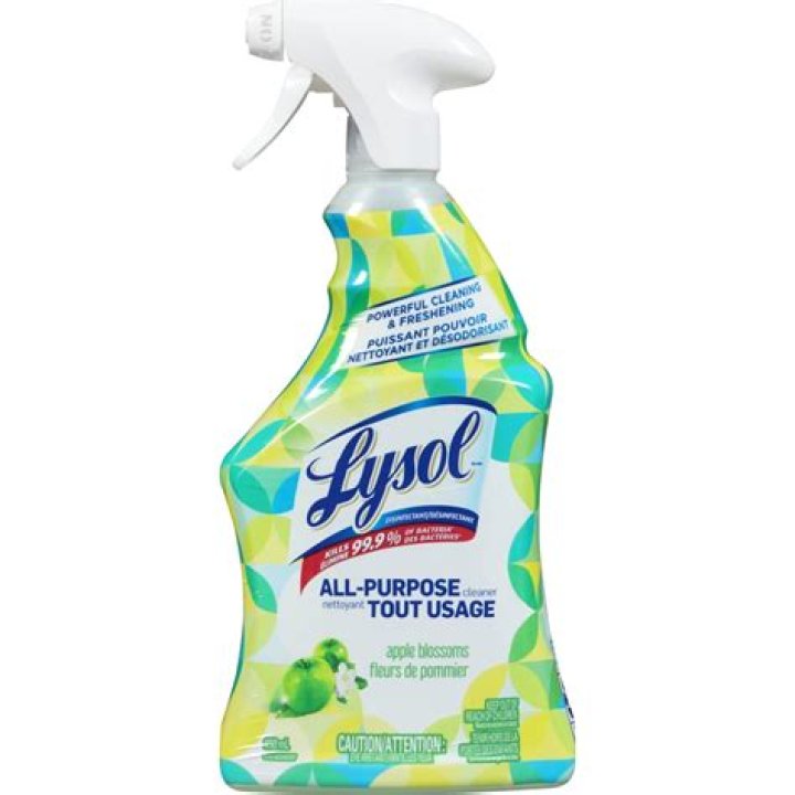 Can you use Lysol All Purpose Cleaner on carpet
