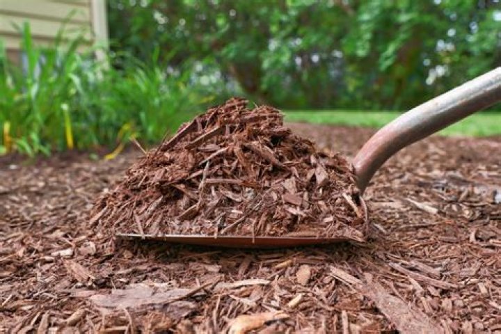 Can you use mulch in Arizona