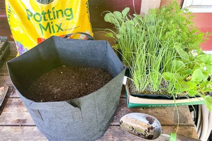 Can you use potting soil for cat litter