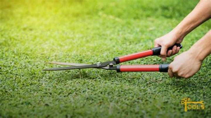 Can you use shears to cut grass