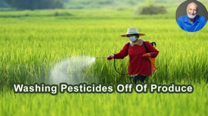 Can you wash pesticides off kale
