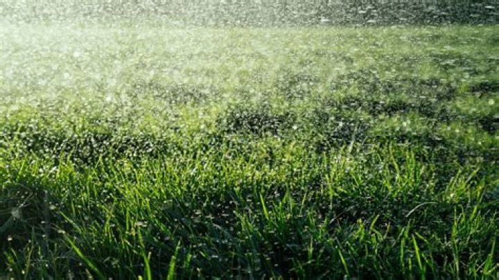 Can you water grass in afternoon