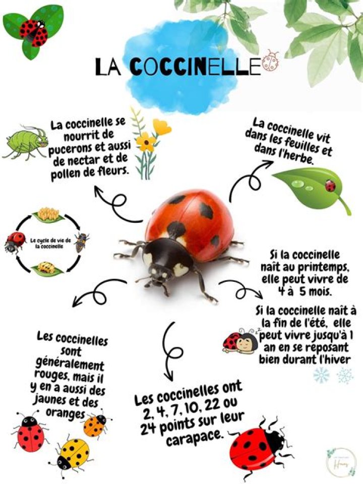 Comment sappelle le cor de Roland