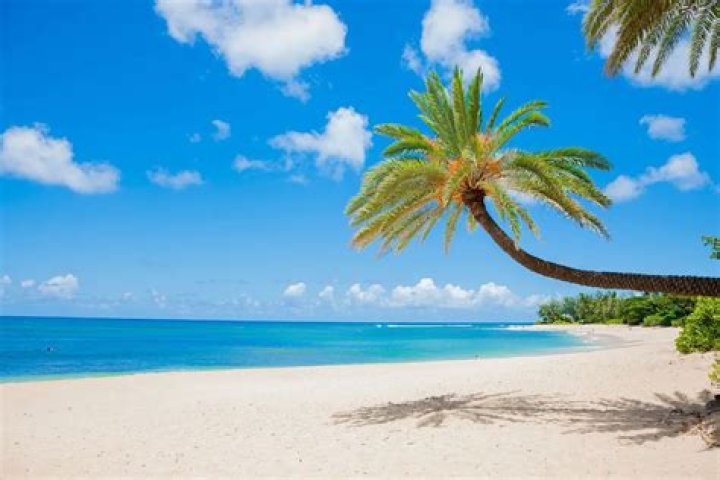 Could Hawaii survive on its own