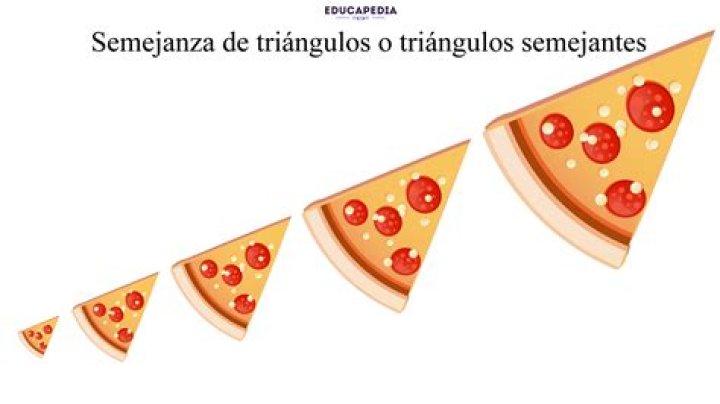 ¿Cuál es el símbolo de la semejanza