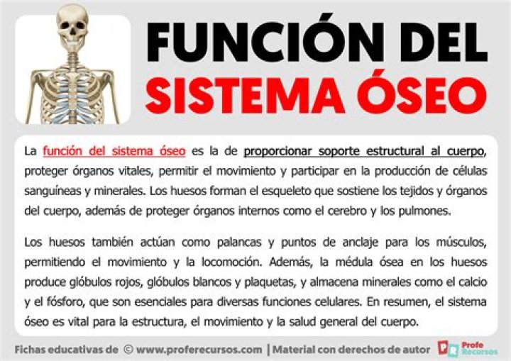 ¿Cuál es la función del sistema visual