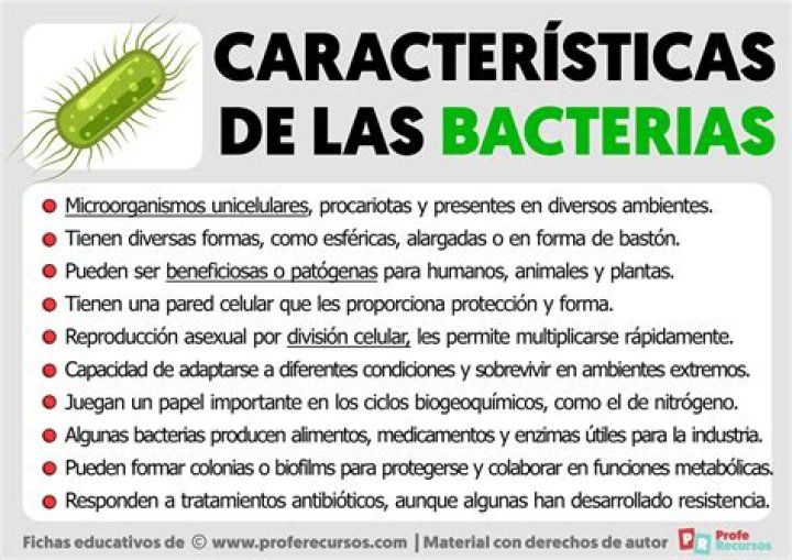 ¿Cuáles son las características de los Tainos
