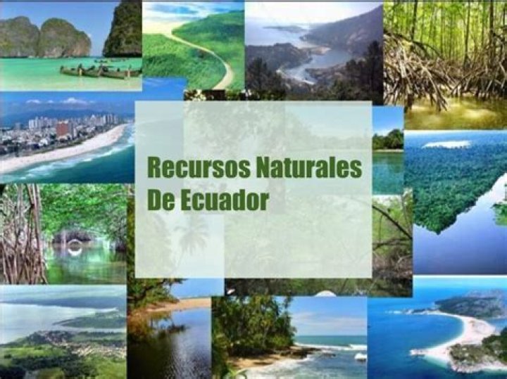 ¿Cuáles son las riquezas naturales de México
