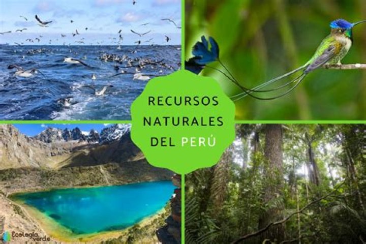 ¿Cuáles son las riquezas naturales del Perú