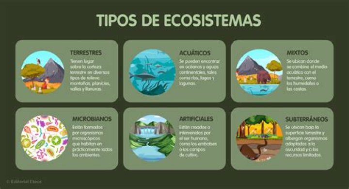 ¿Cuáles son los 3 tipos de control que existen en programación