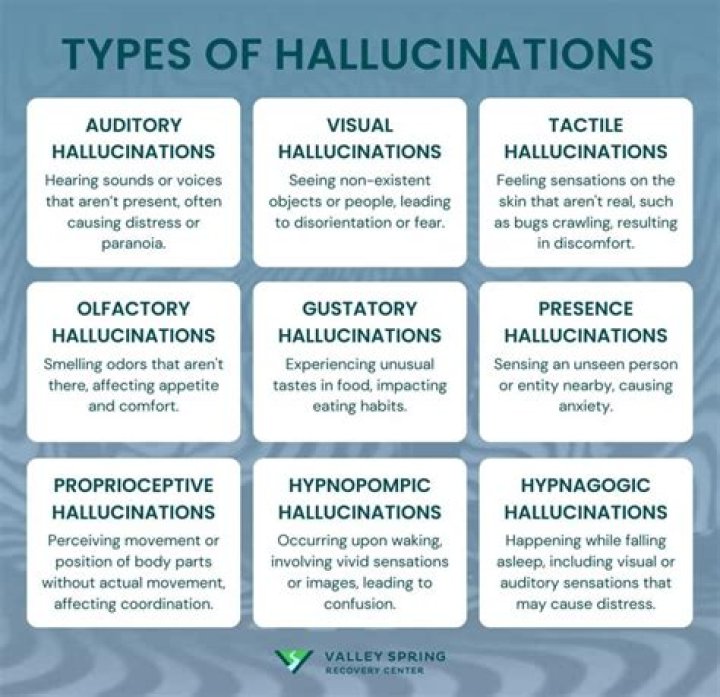 Did Nash have visual hallucinations
