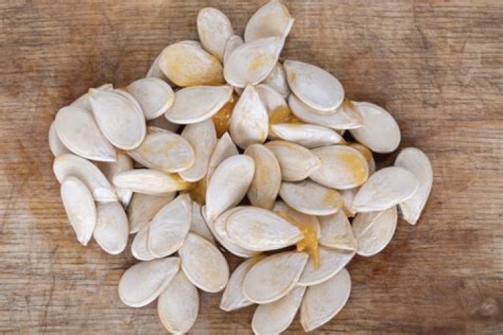 Do all seeds have shells