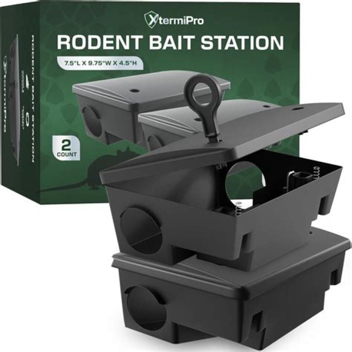 Do bait stations attract more mice