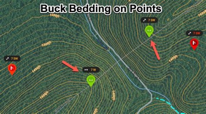 Do Bucks revisit rubs