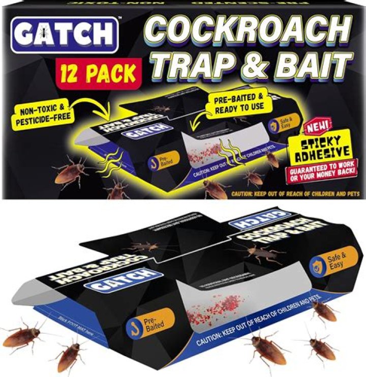 Do cockroach baits attract roaches