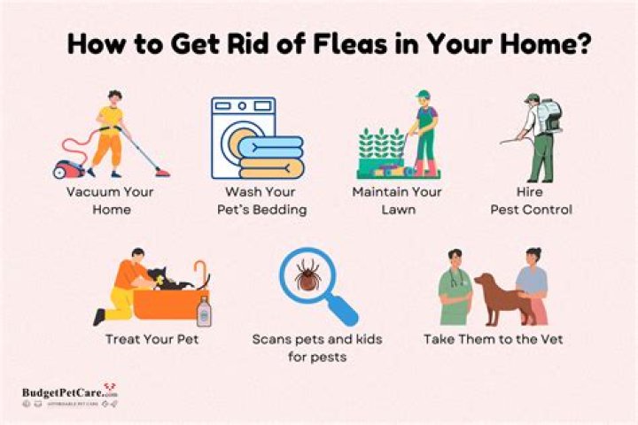 Do fleas live in wood chips
