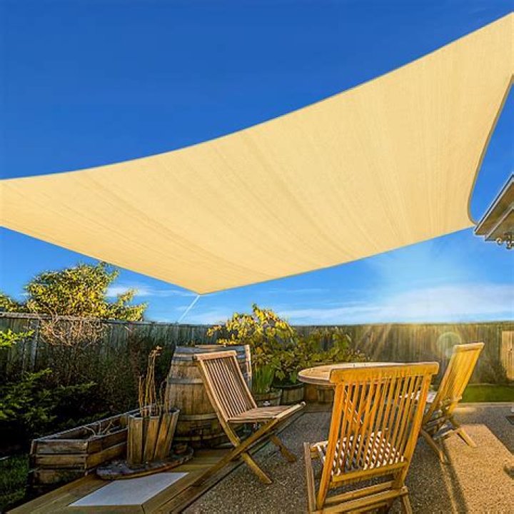 Do grasses need sun or shade