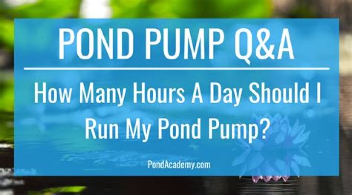 Do I need to run my pond pump all the time