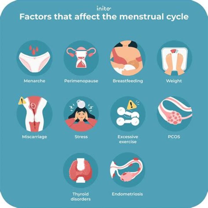 Do mares get periods