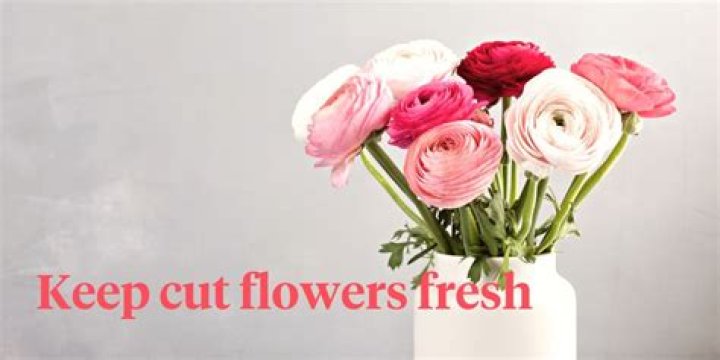 Do pennies keep flowers fresh
