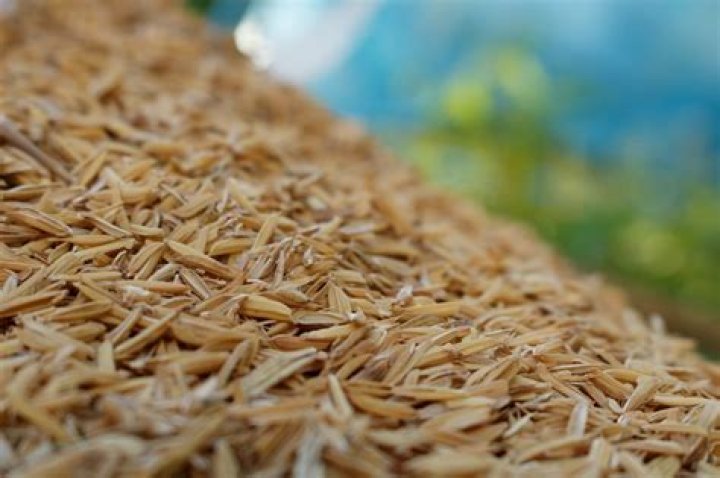 Do rice hulls compost