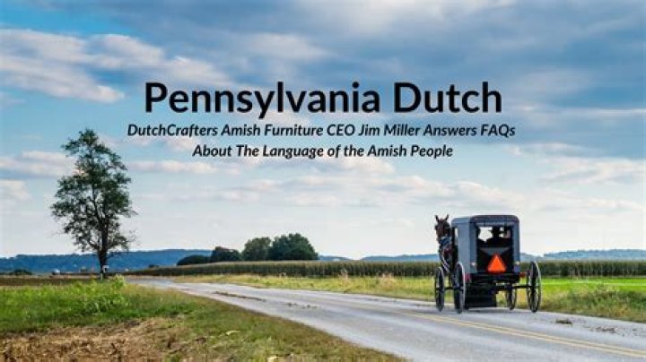 Do the Amish have their own government