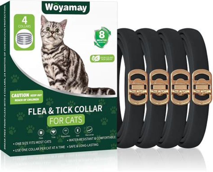 Do vets recommend flea collars
