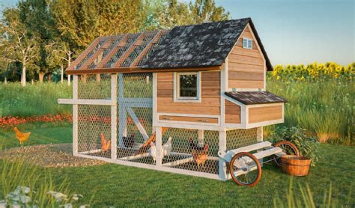Do you have to close chicken coop at night