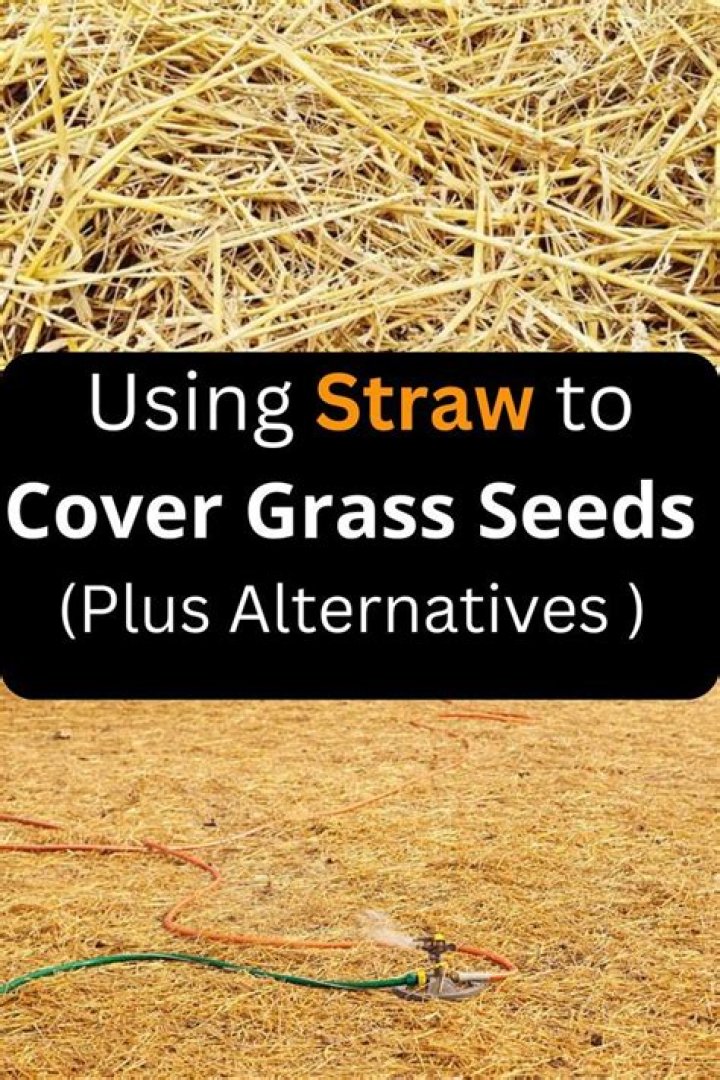 Do you have to cover grass seed