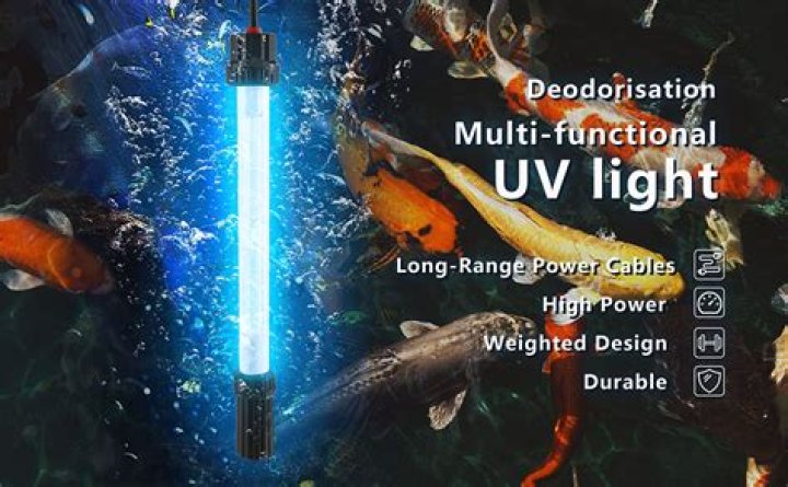 Do you need a UV light for pond